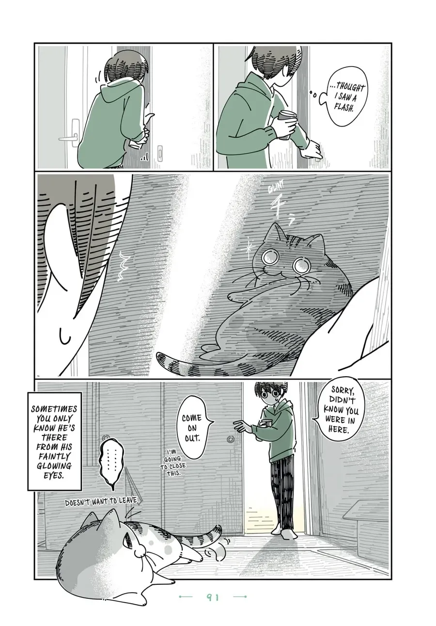 Nights With a Cat Chapter 161 page 3 - 