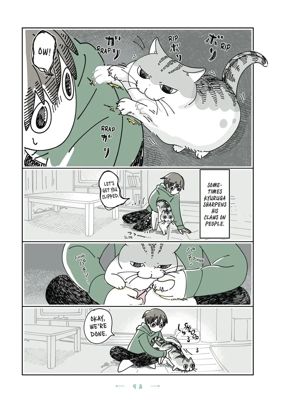 Nights With a Cat Chapter 162 page 2 - 