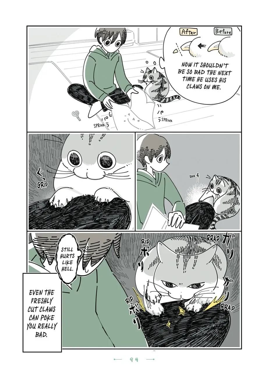 Nights With a Cat Chapter 162 page 3 - 