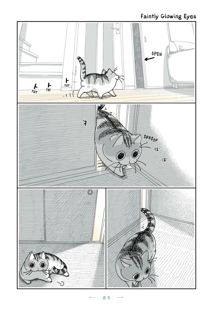Nights With a Cat Chapter 163 page 1 - 