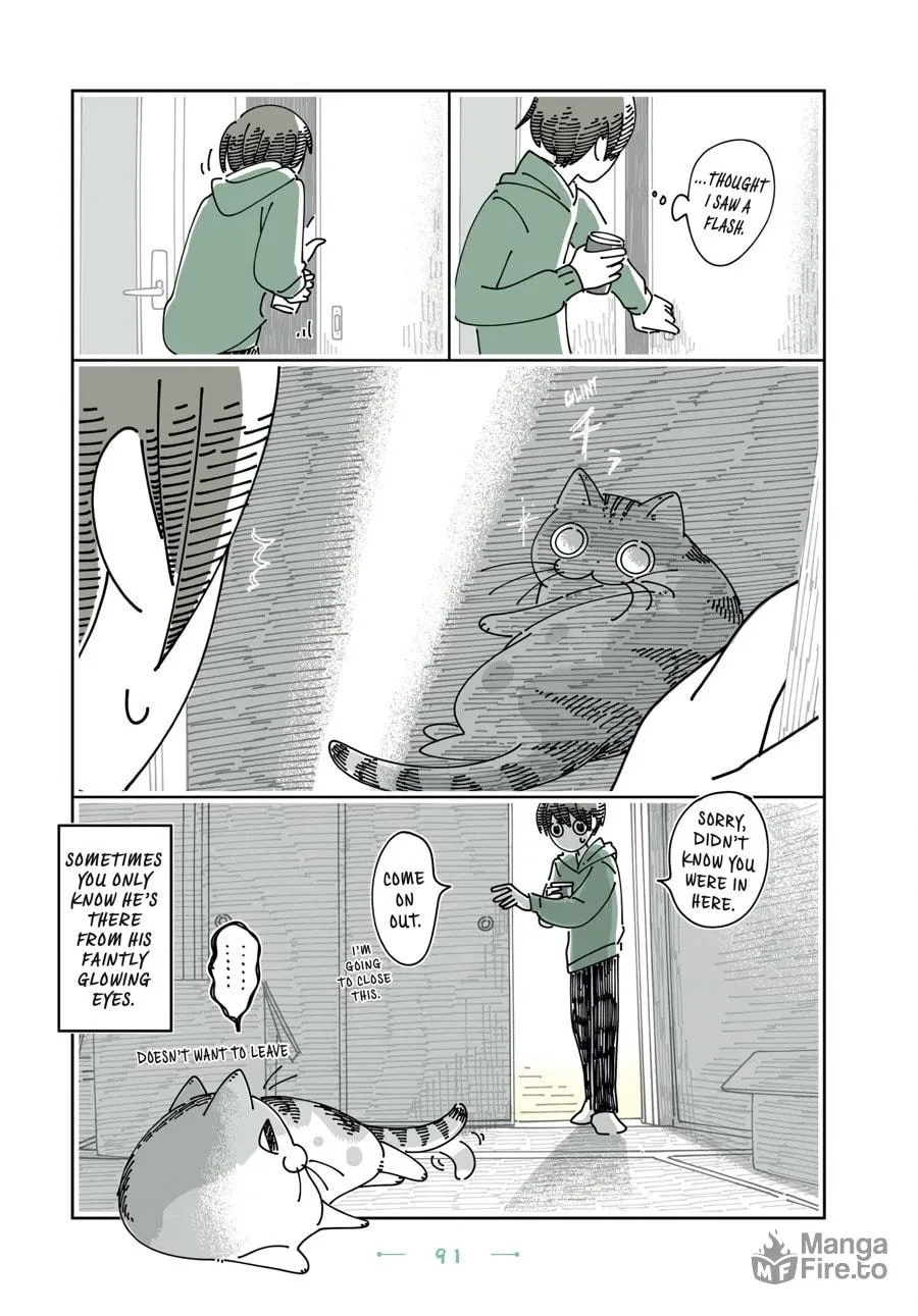 Nights With a Cat Chapter 163 page 3 - 