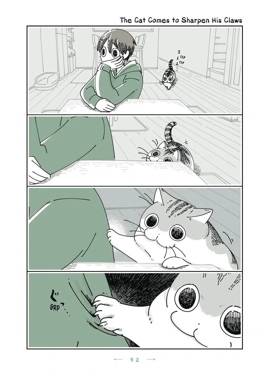 Nights With a Cat Chapter 164 page 1 - 