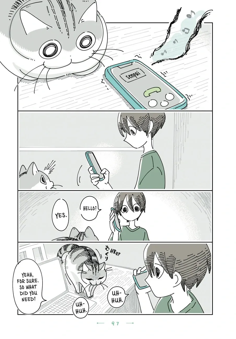Nights With a Cat Chapter 165 page 2 - 