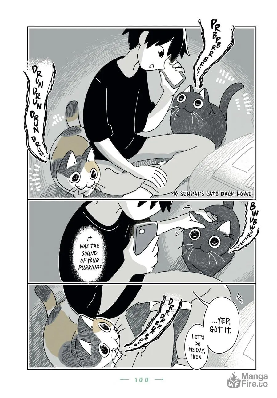 Nights With a Cat Chapter 165 page 5 - 