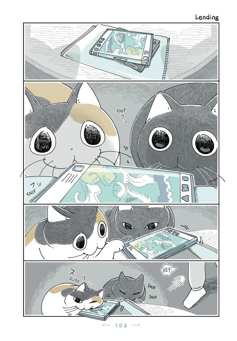 Nights With a Cat Chapter 166 page 1 - 