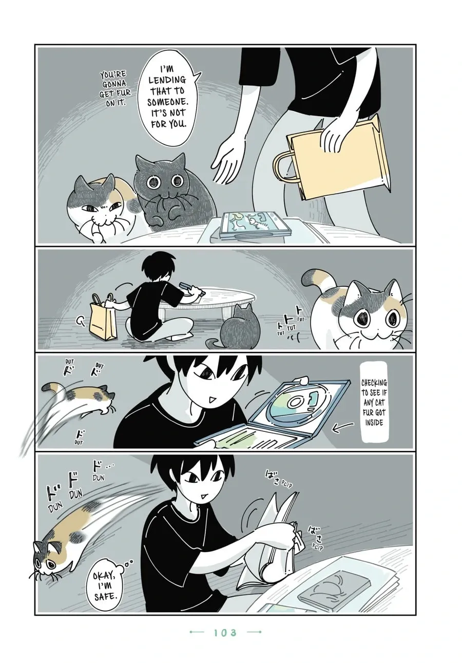 Nights With a Cat Chapter 166 page 2 - 