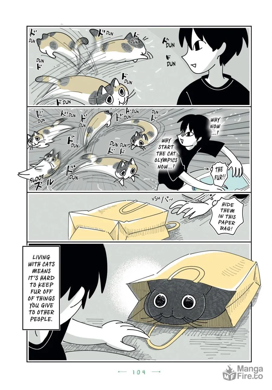 Nights With a Cat Chapter 166 page 3 - 