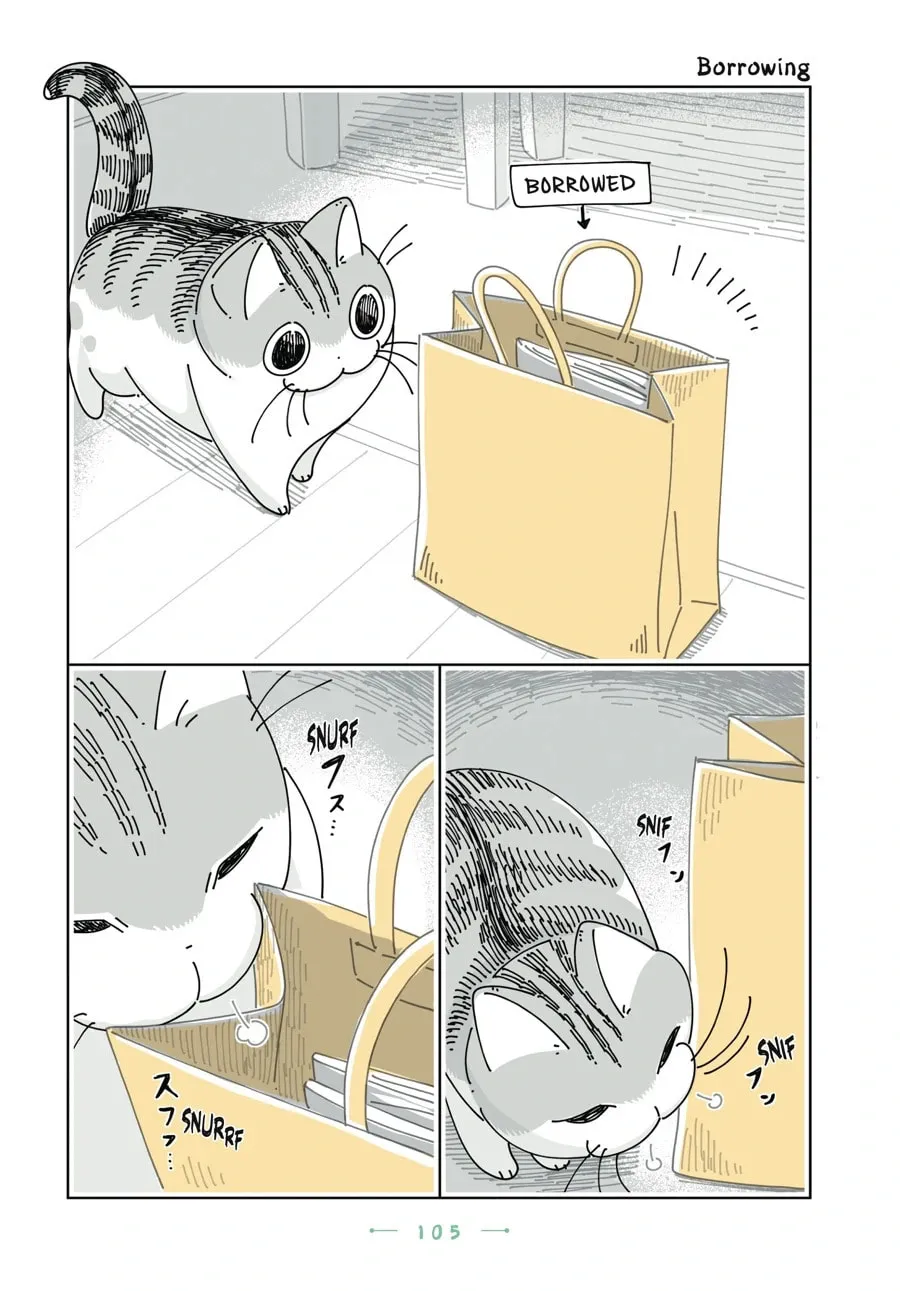 Nights With a Cat Chapter 167 page 1 - 