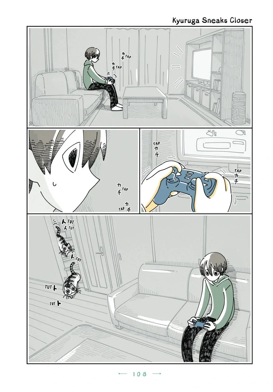 Nights With a Cat Chapter 168 page 1 - 