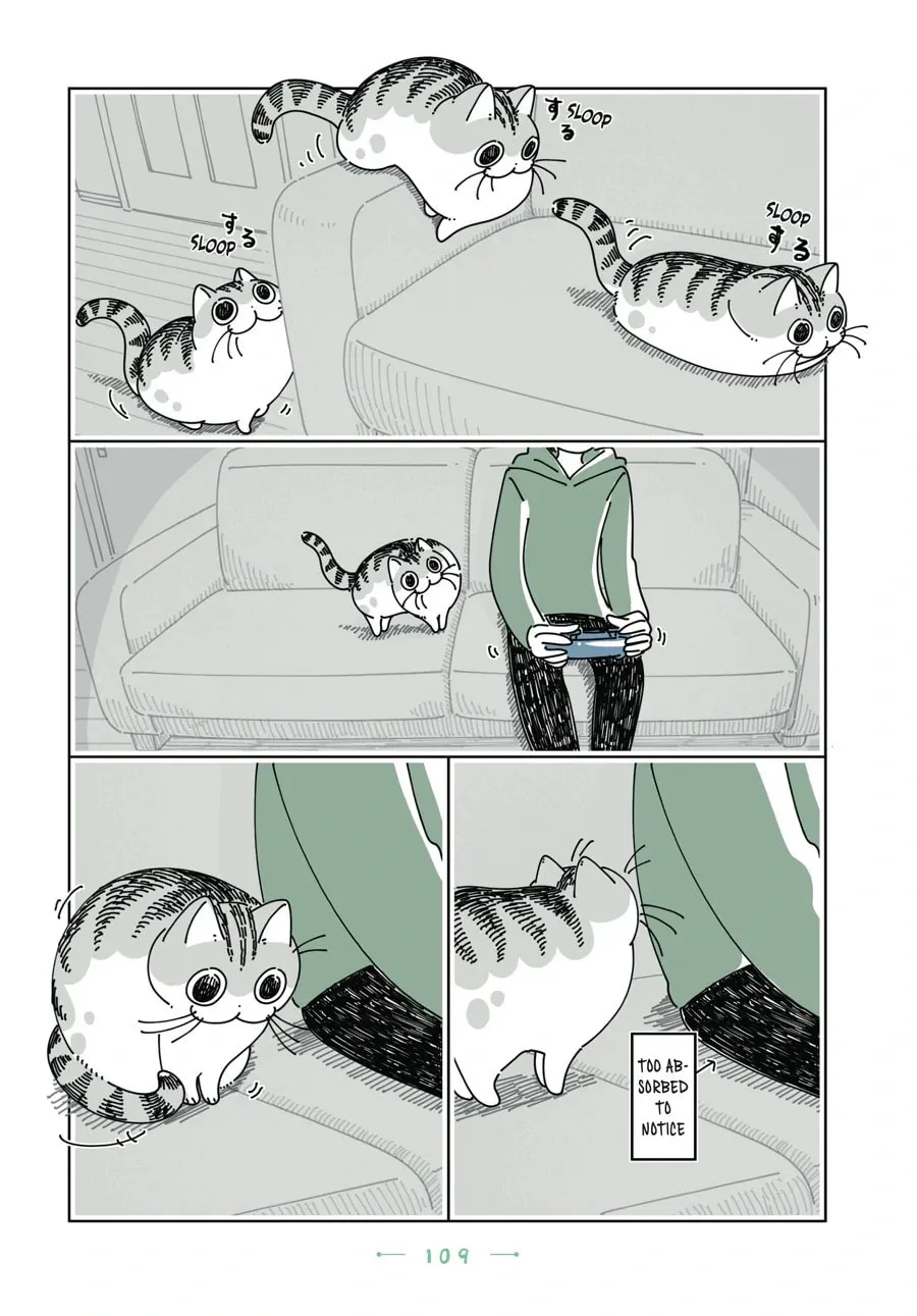 Nights With a Cat Chapter 168 page 2 - 