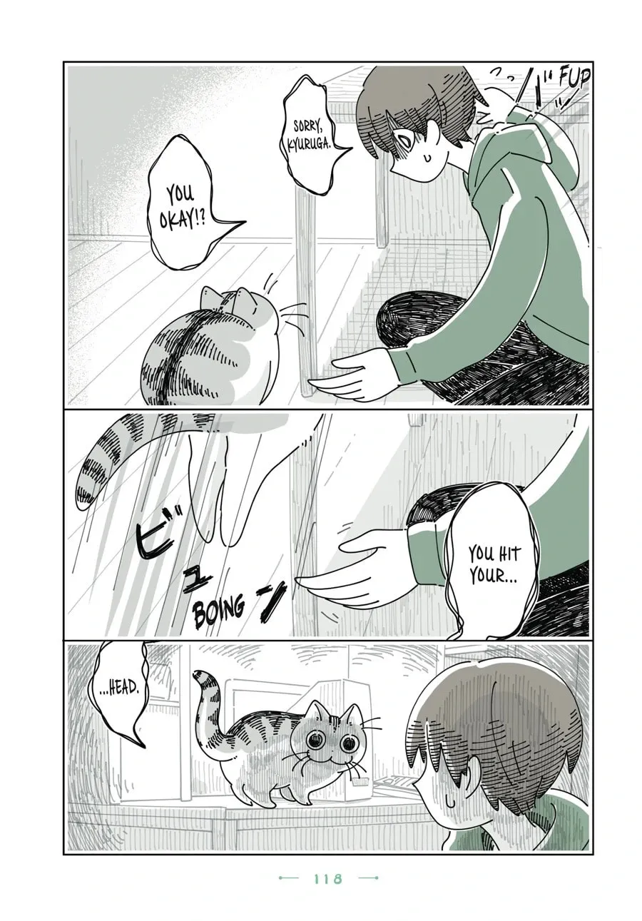 Nights With a Cat Chapter 168 page 11 - 