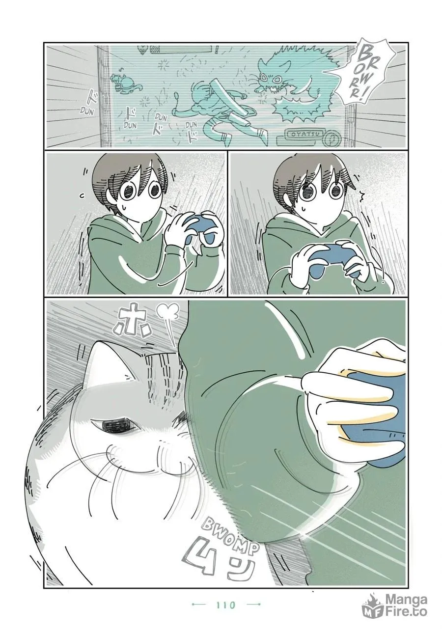 Nights With a Cat Chapter 168 page 3 - 