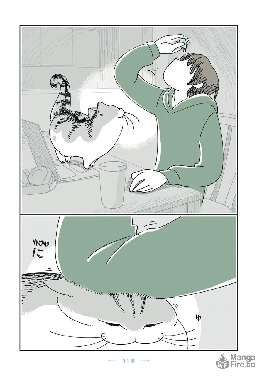 Nights With a Cat Chapter 168 page 6 - 