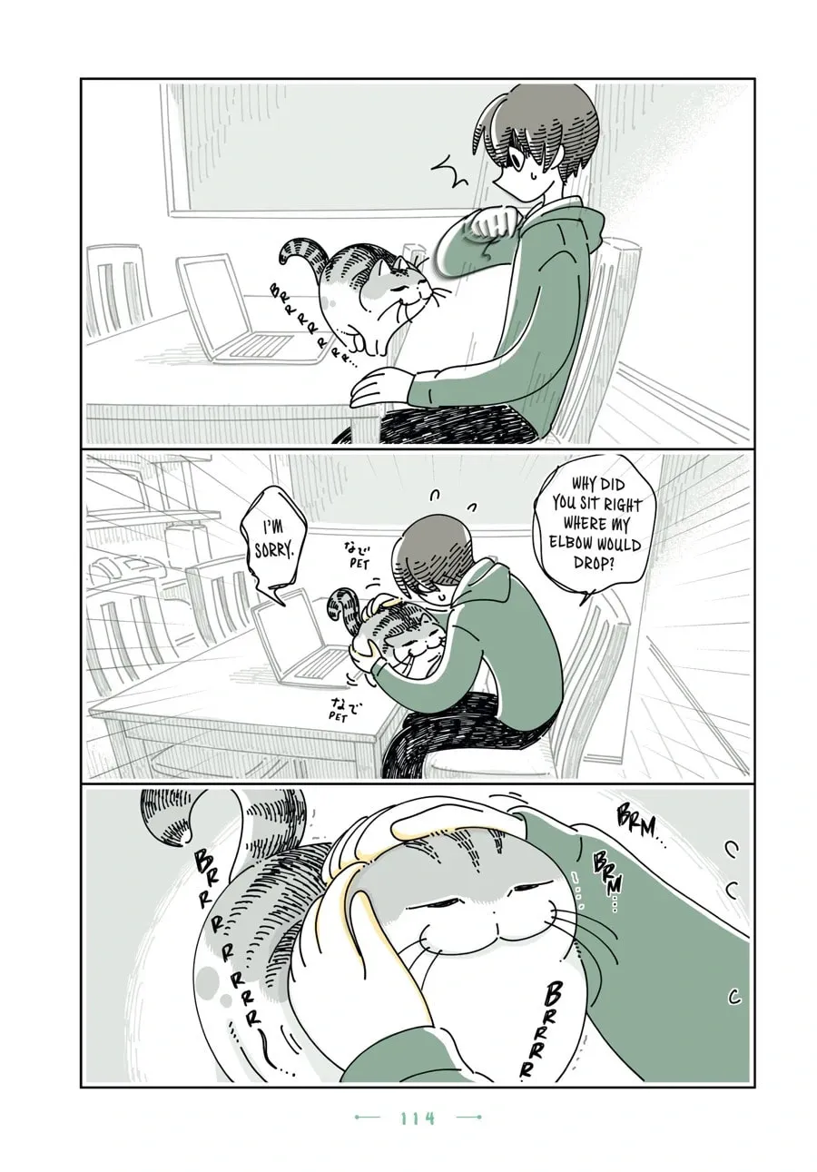 Nights With a Cat Chapter 168 page 7 - 