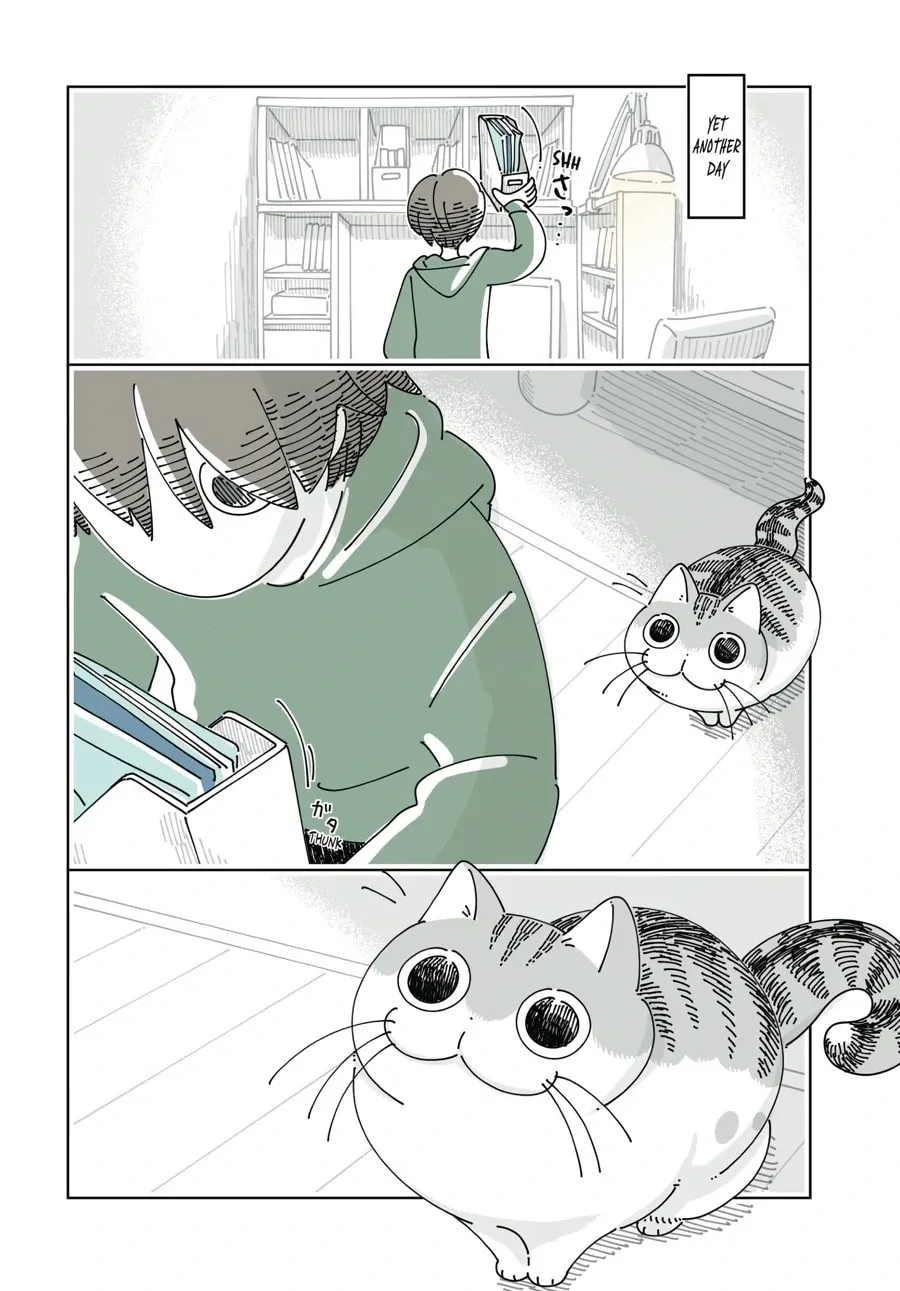 Nights With a Cat Chapter 168 page 8 - 