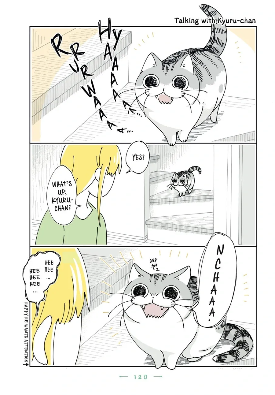 Nights With a Cat Chapter 169 page 1 - 