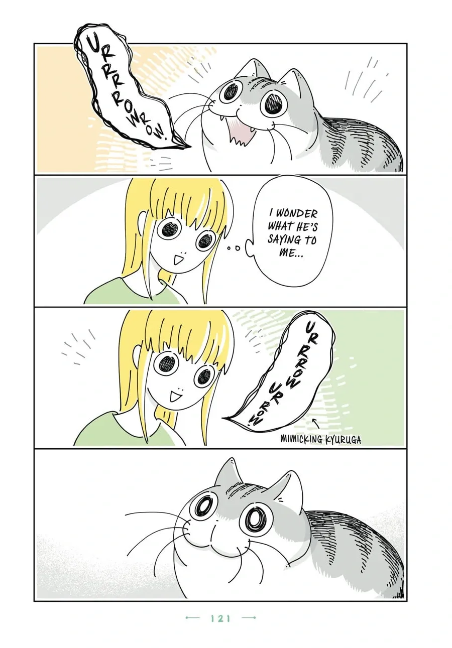 Nights With a Cat Chapter 169 page 2 - 