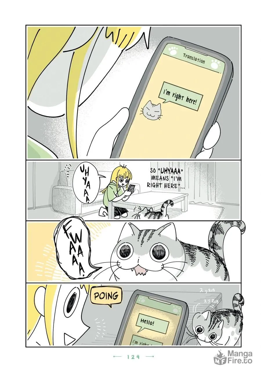 Nights With a Cat Chapter 169 page 5 - 