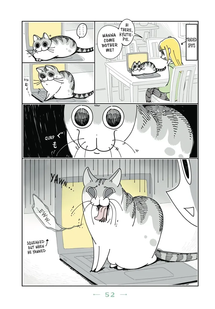 Nights With a Cat Chapter 17.1 page 2 - 