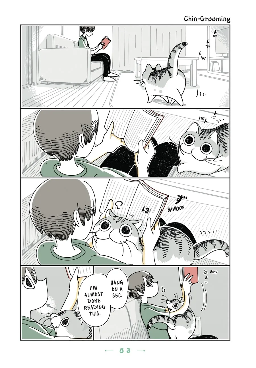 Nights With a Cat Chapter 17 page 1 - 
