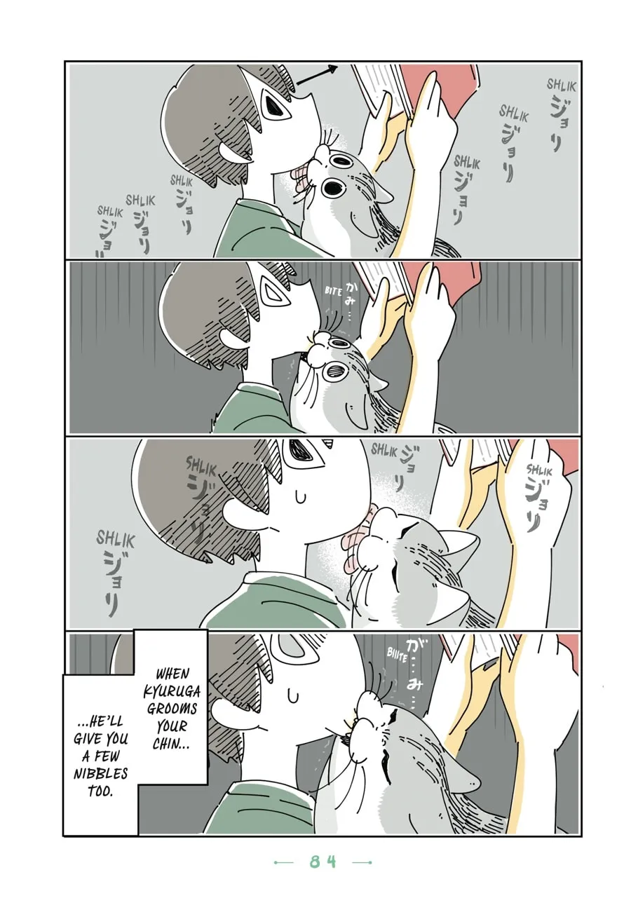 Nights With a Cat Chapter 17 page 2 - 