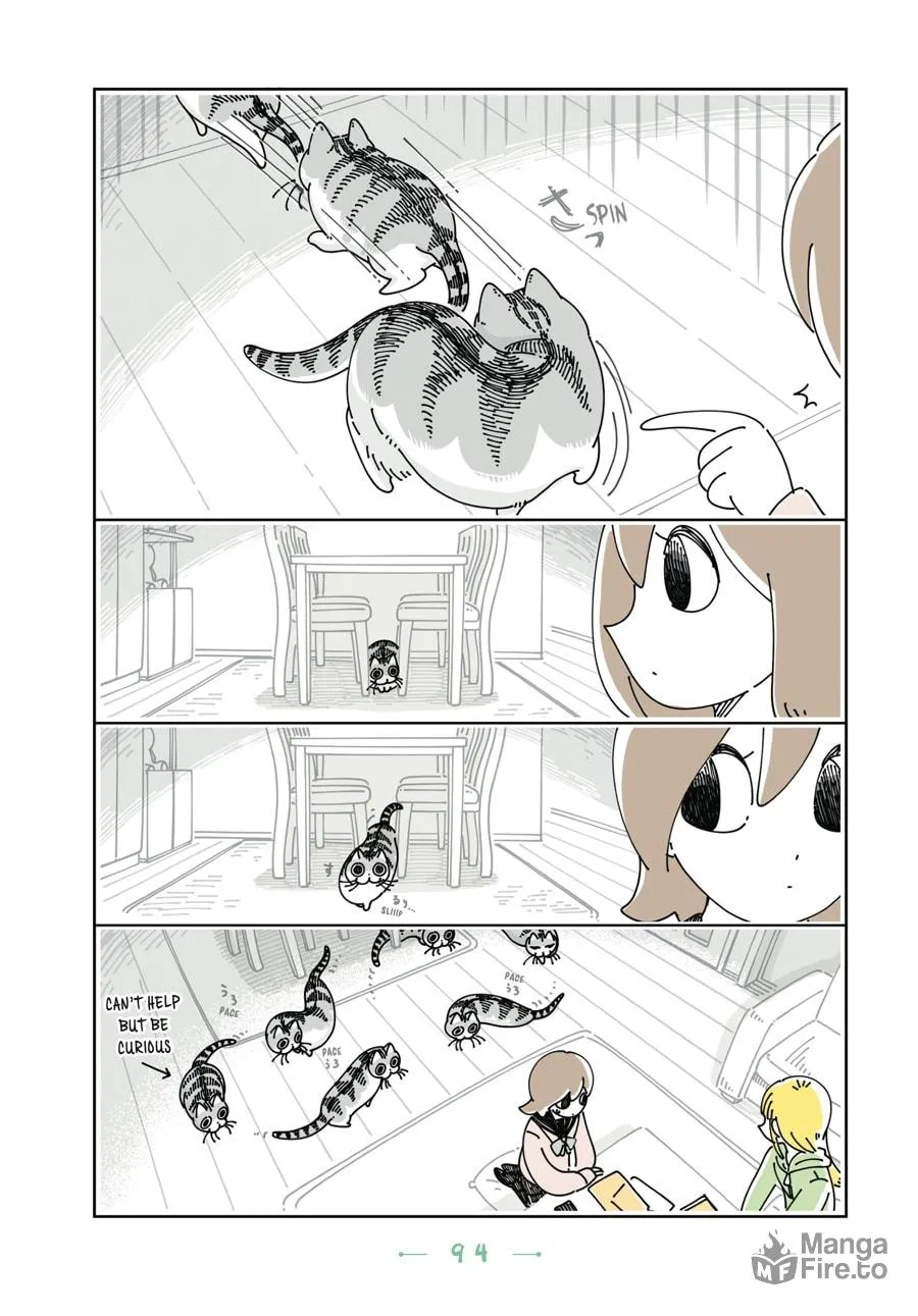 Nights With a Cat Chapter 17 page 12 - 