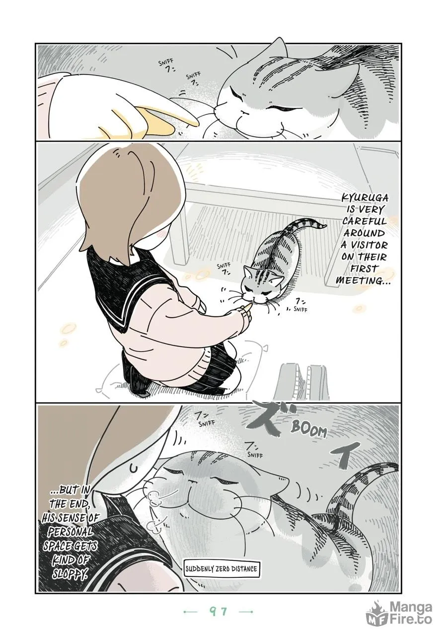 Nights With a Cat Chapter 17 page 15 - 