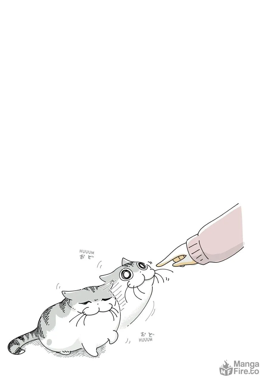 Nights With a Cat Chapter 17 page 3 - 