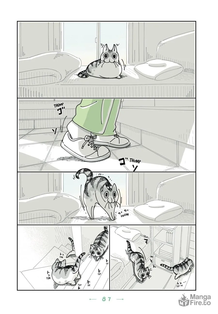 Nights With a Cat Chapter 17 page 5 - 
