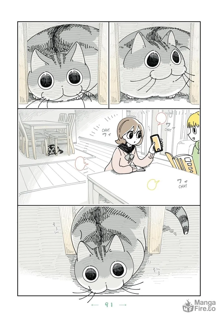 Nights With a Cat Chapter 17 page 9 - 