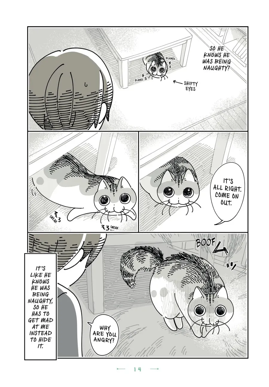 Nights With a Cat Chapter 170 page 3 - 