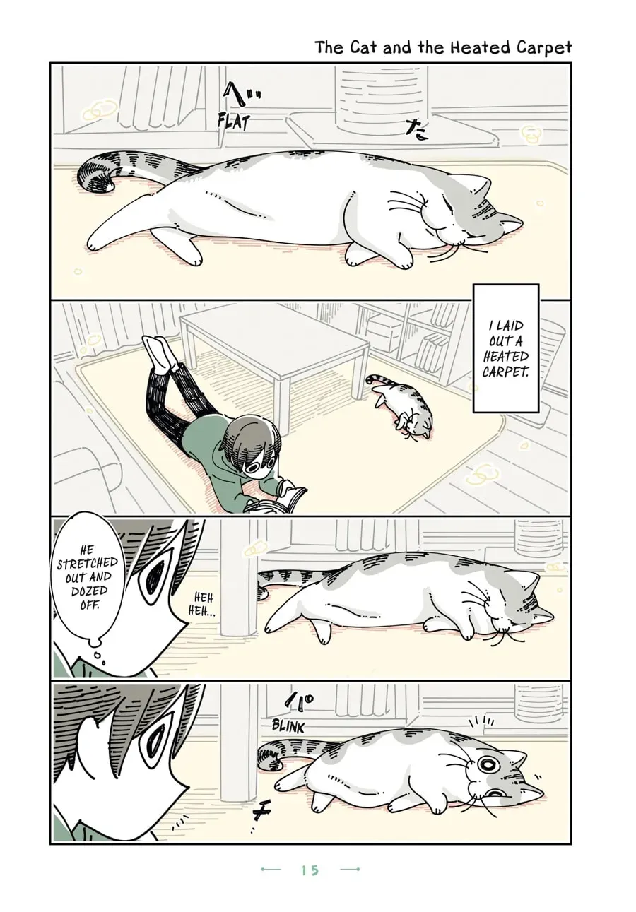 Nights With a Cat Chapter 171 page 1 - 
