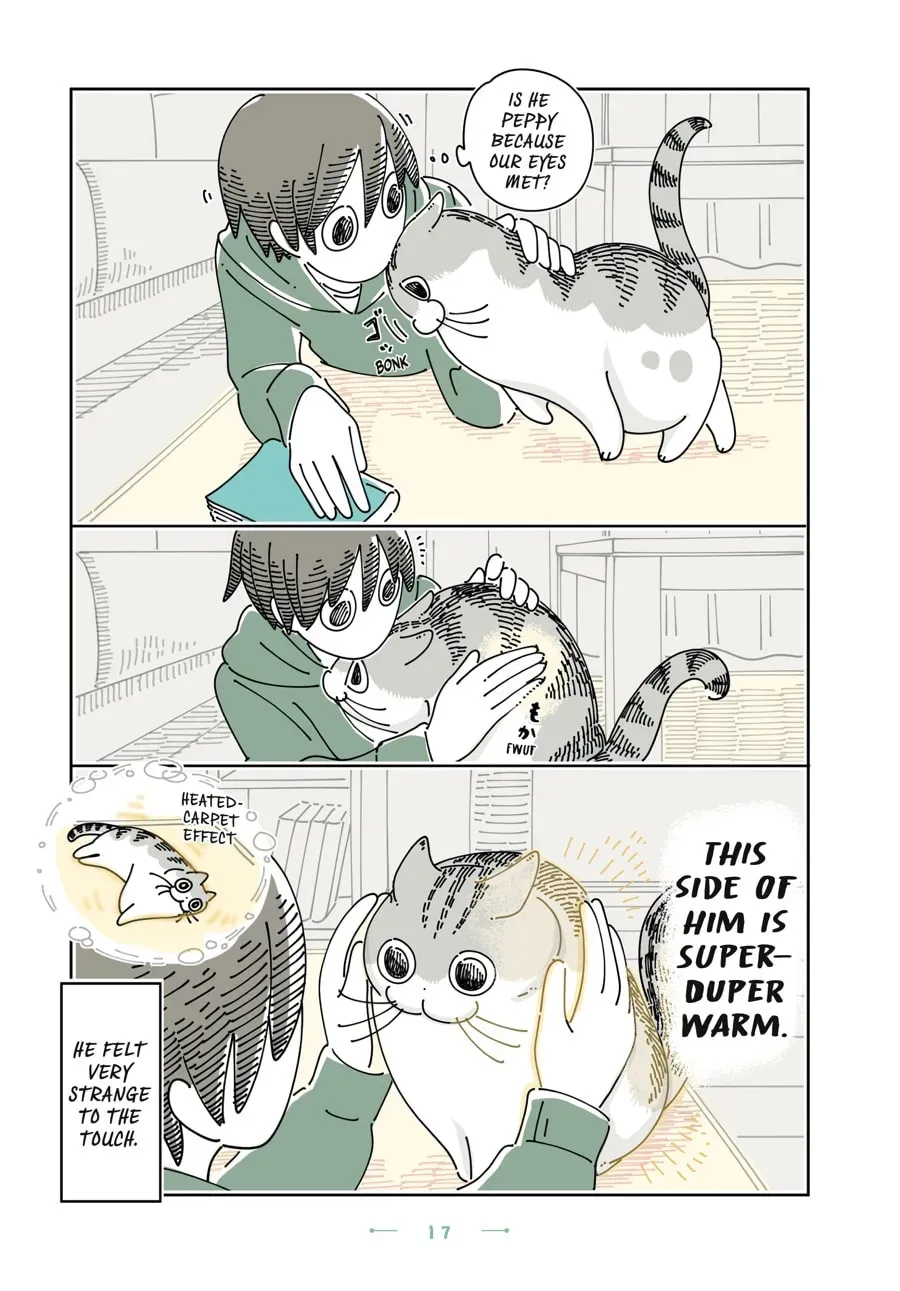 Nights With a Cat Chapter 171 page 3 - 