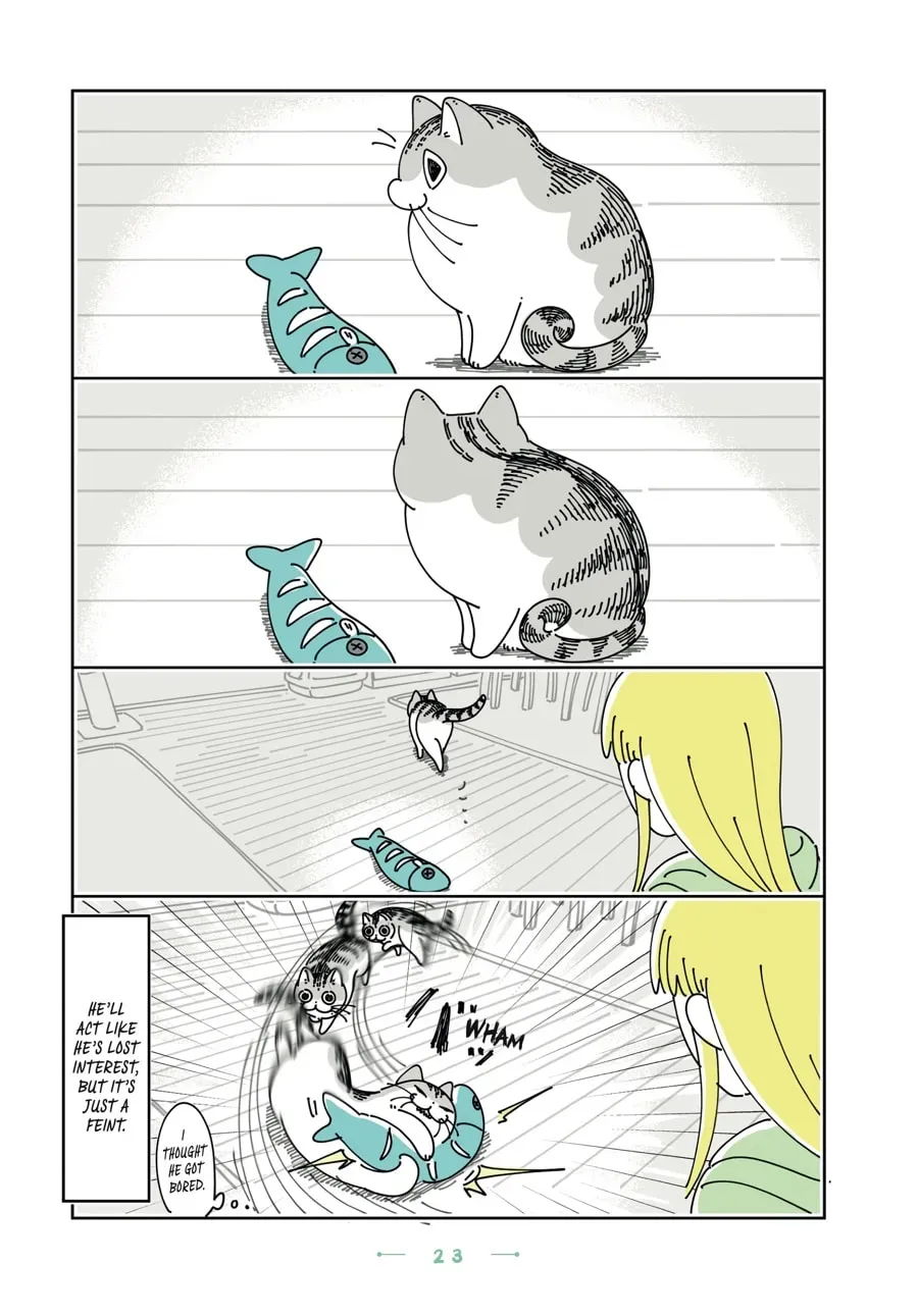 Nights With a Cat Chapter 173 page 3 - 