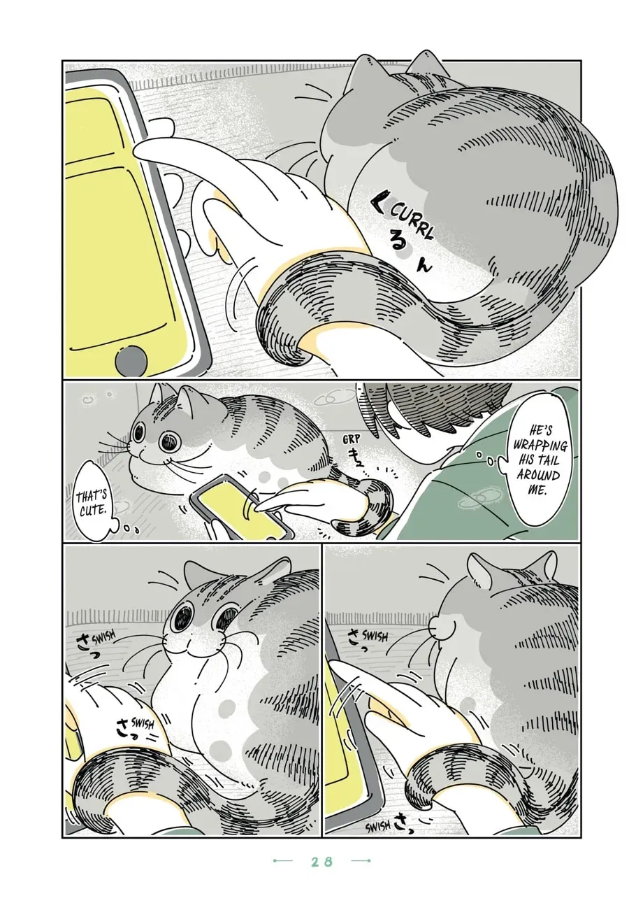 Nights With a Cat Chapter 175 page 2 - 
