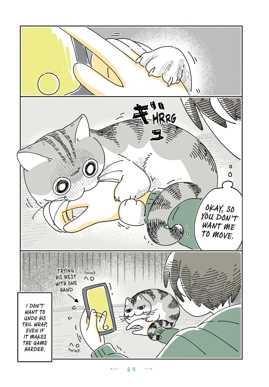 Nights With a Cat Chapter 175 page 3 - 