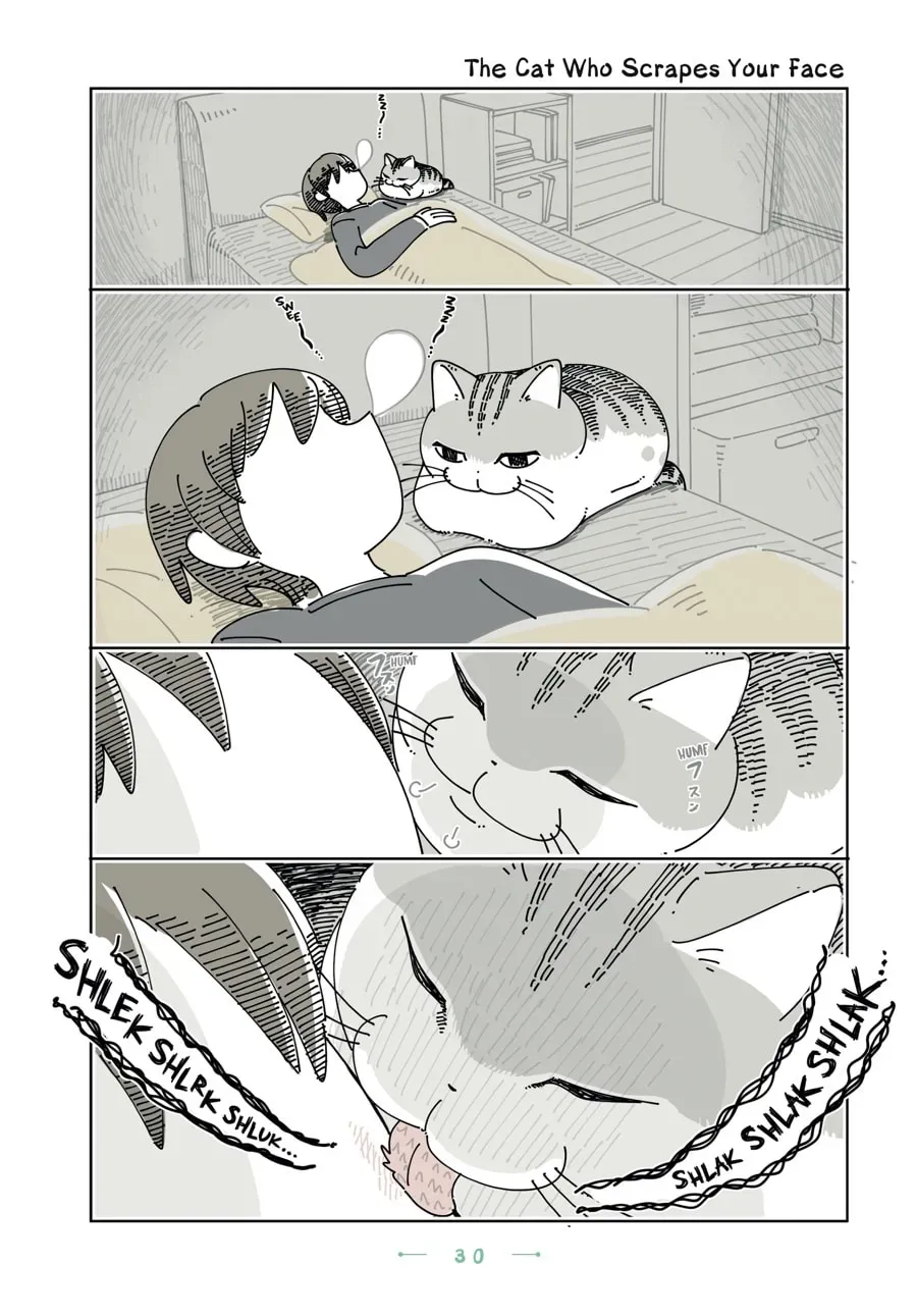Nights With a Cat Chapter 176 page 1 - 