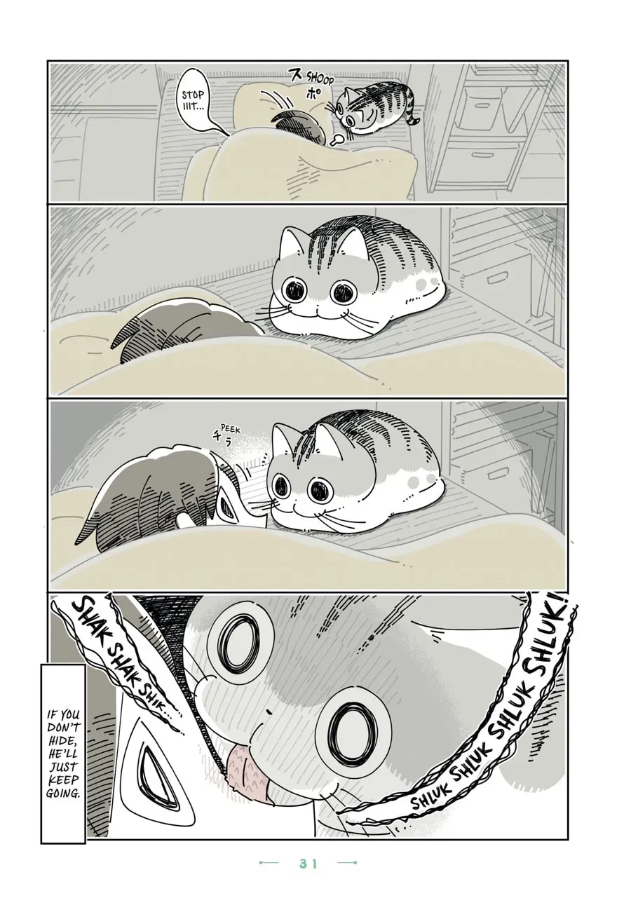 Nights With a Cat Chapter 176 page 2 - 