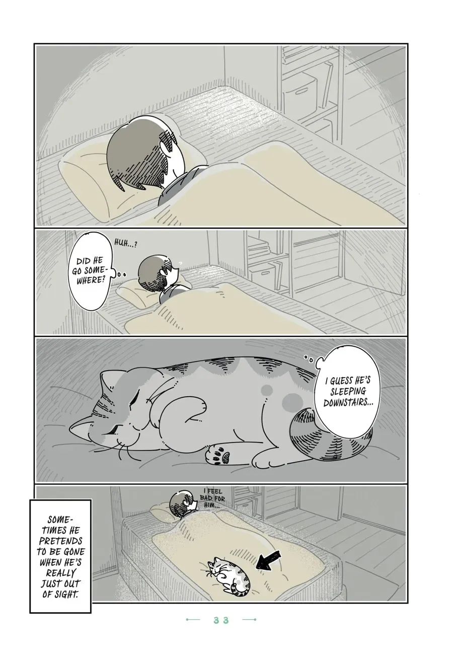 Nights With a Cat Chapter 176 page 4 - 