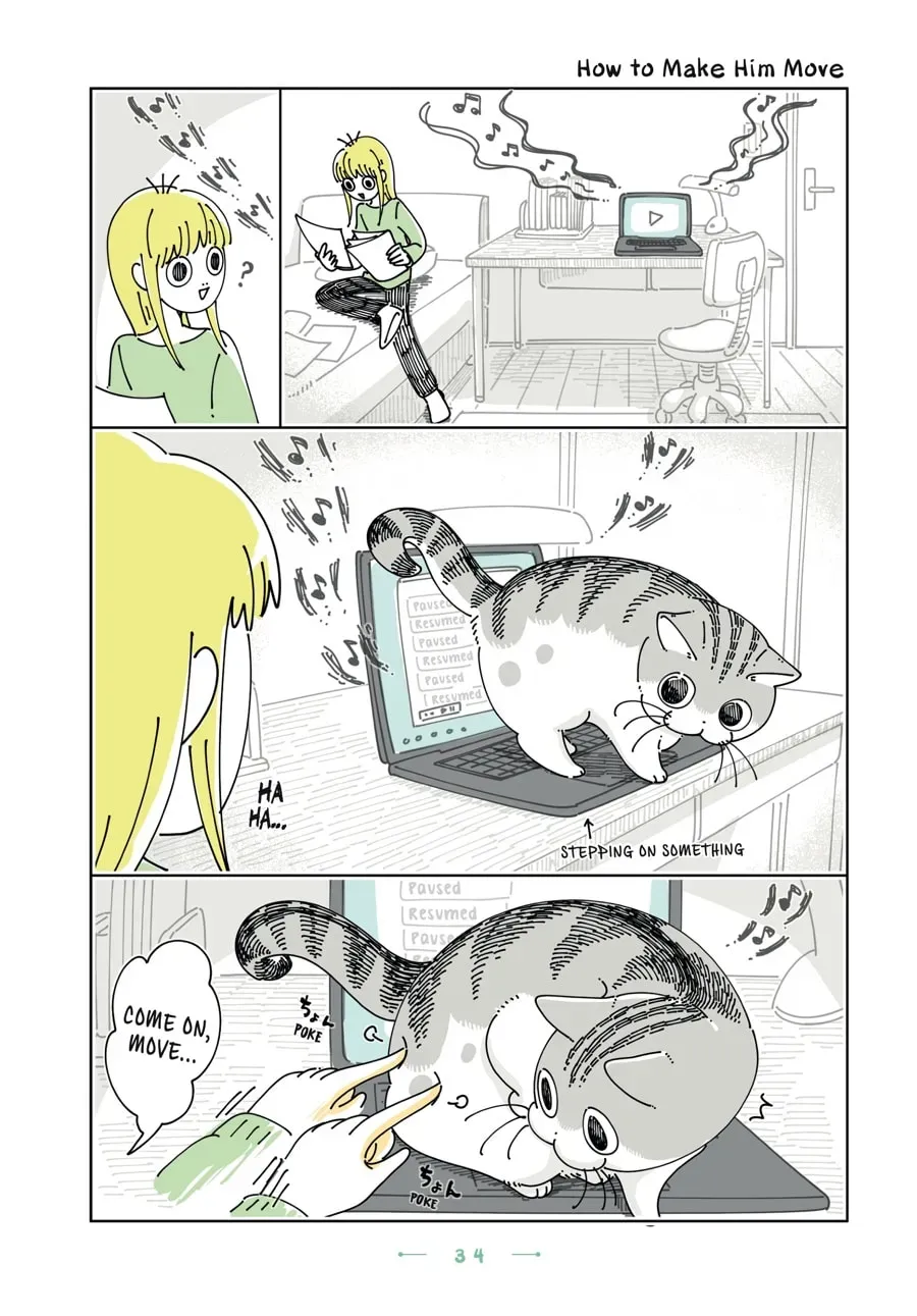 Nights With a Cat Chapter 177 page 1 - 