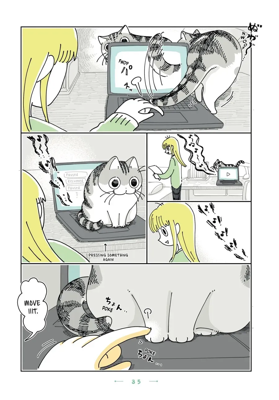 Nights With a Cat Chapter 177 page 2 - 