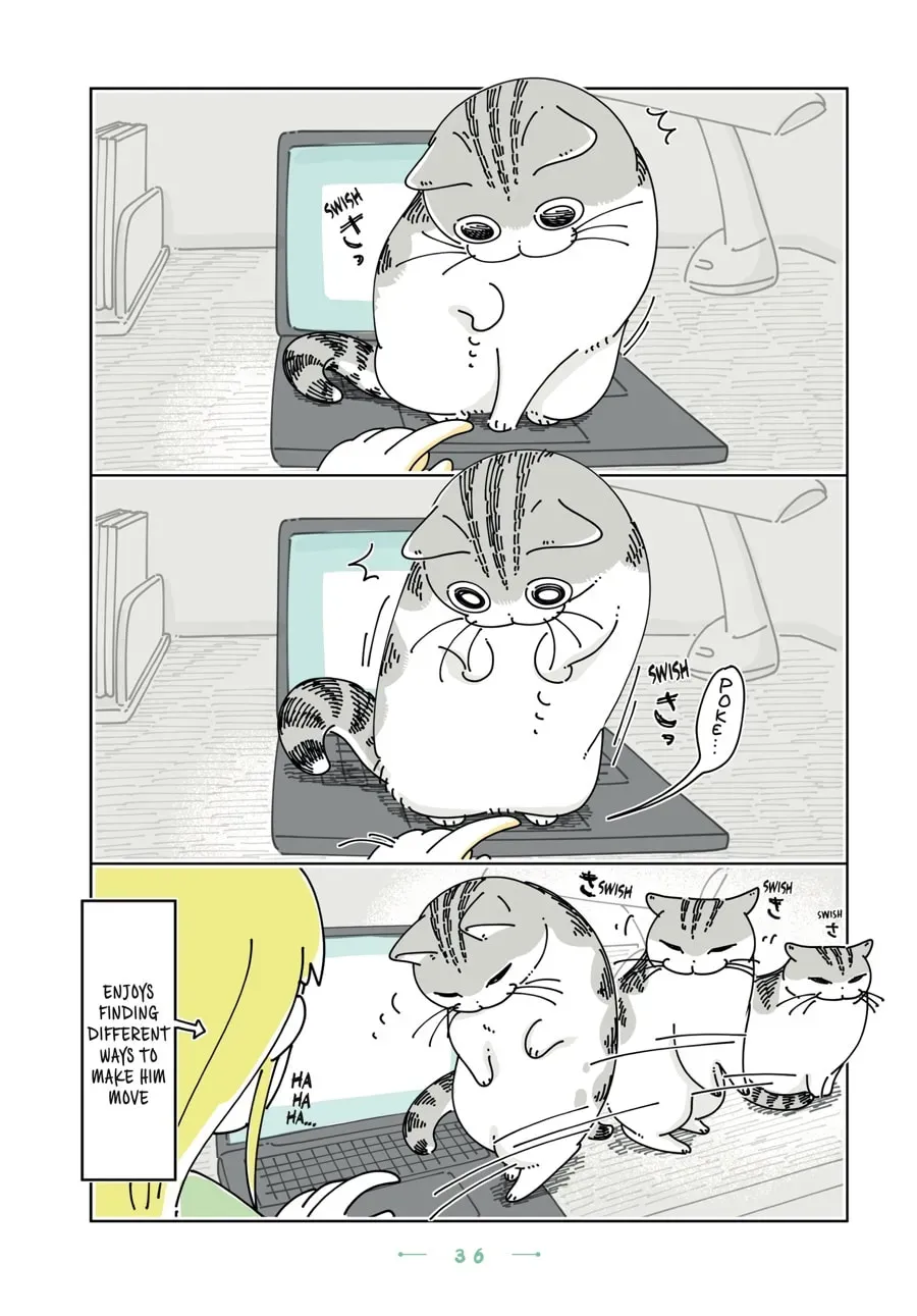 Nights With a Cat Chapter 177 page 3 - 