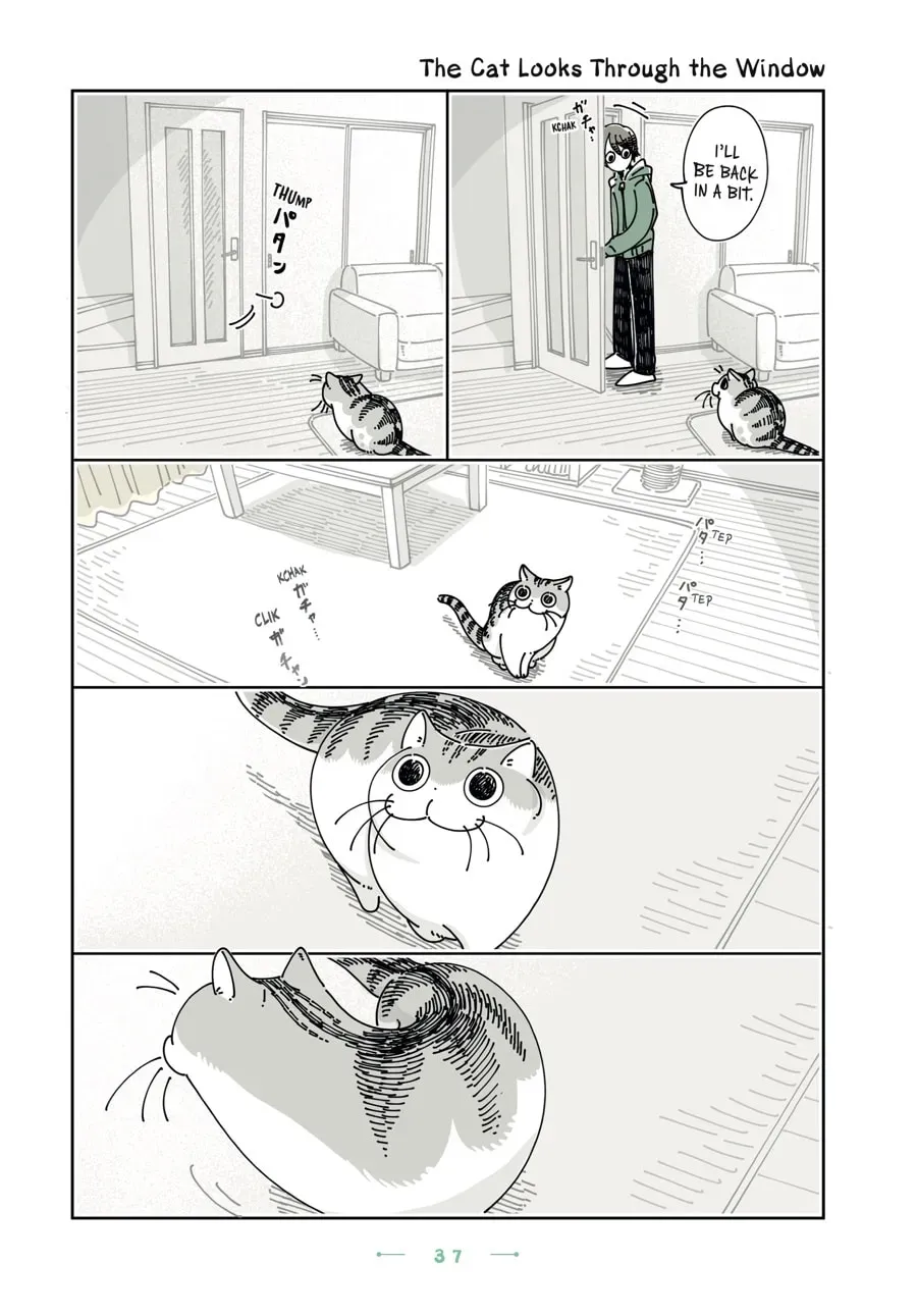 Nights With a Cat Chapter 178 page 1 - 