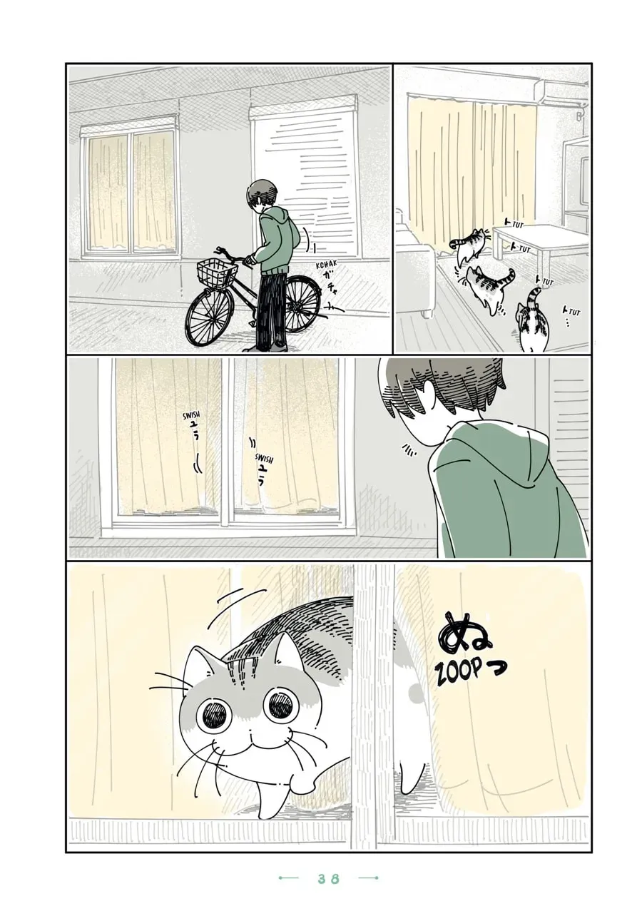 Nights With a Cat Chapter 178 page 2 - 