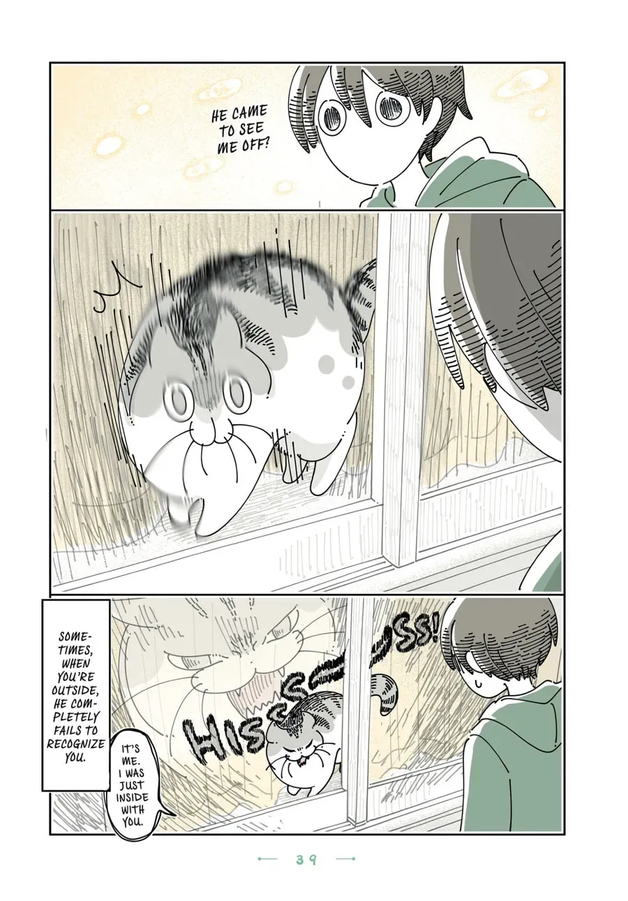 Nights With a Cat Chapter 178 page 3 - 