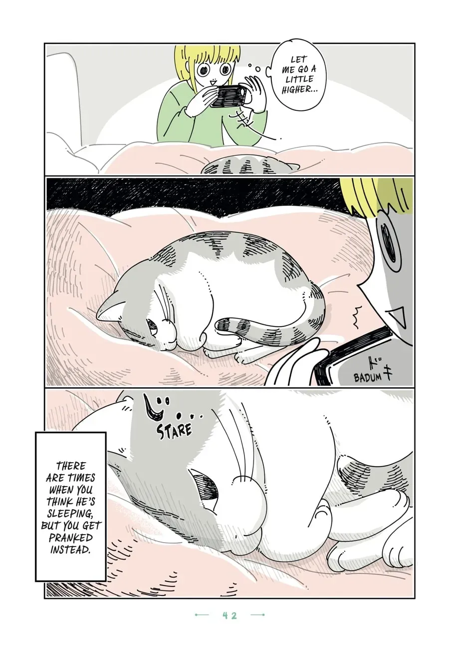 Nights With a Cat Chapter 179 page 3 - 