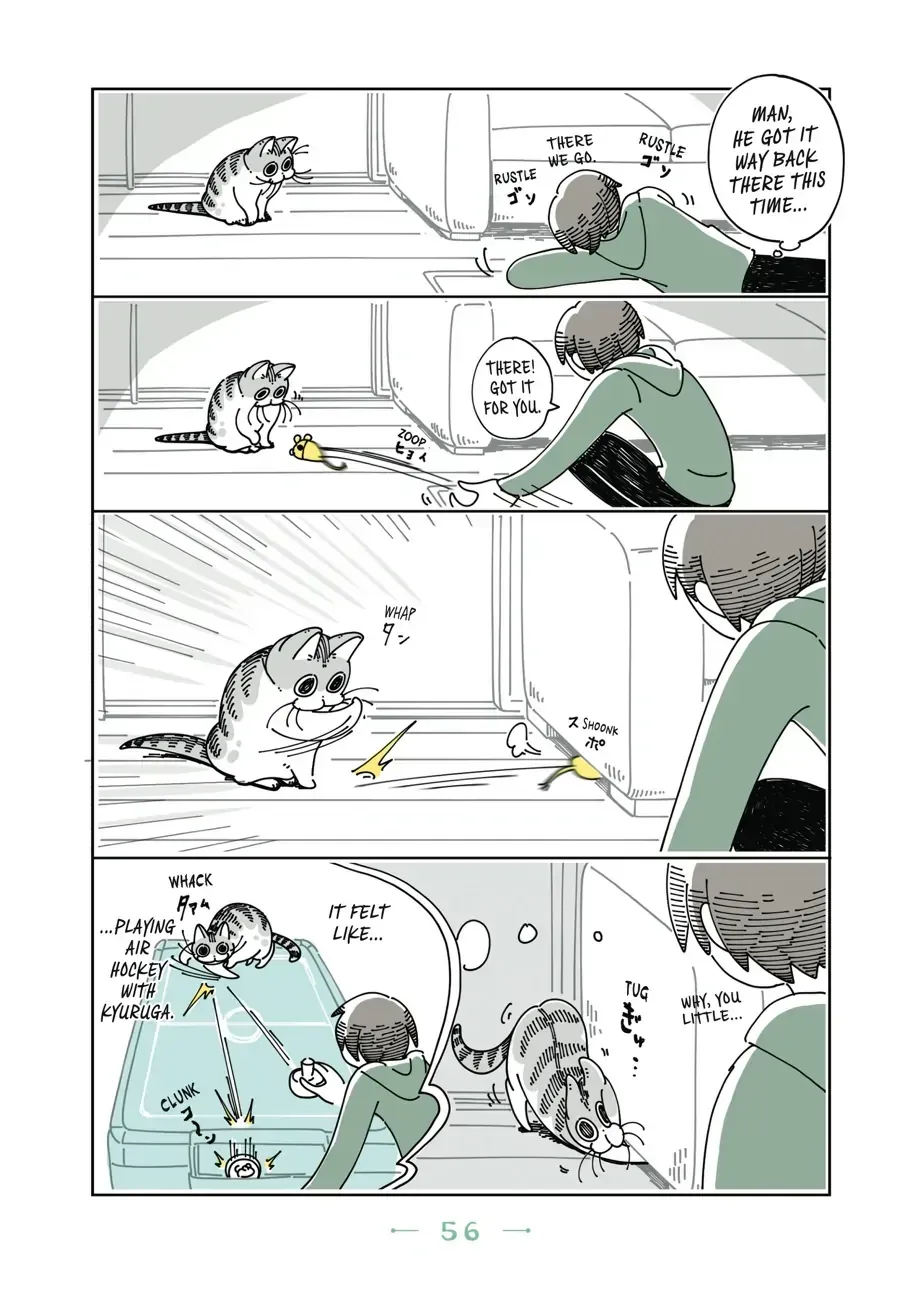 Nights With a Cat Chapter 18.1 page 3 - 