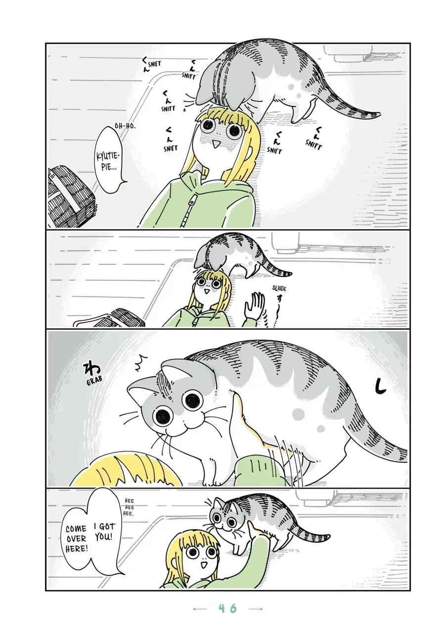 Nights With a Cat Chapter 18.2 page 2 - 