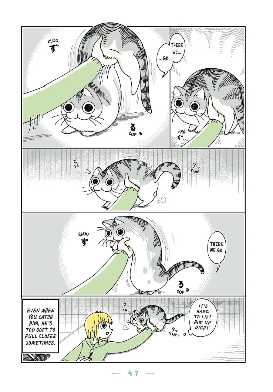 Nights With a Cat Chapter 18.2 page 3 - 