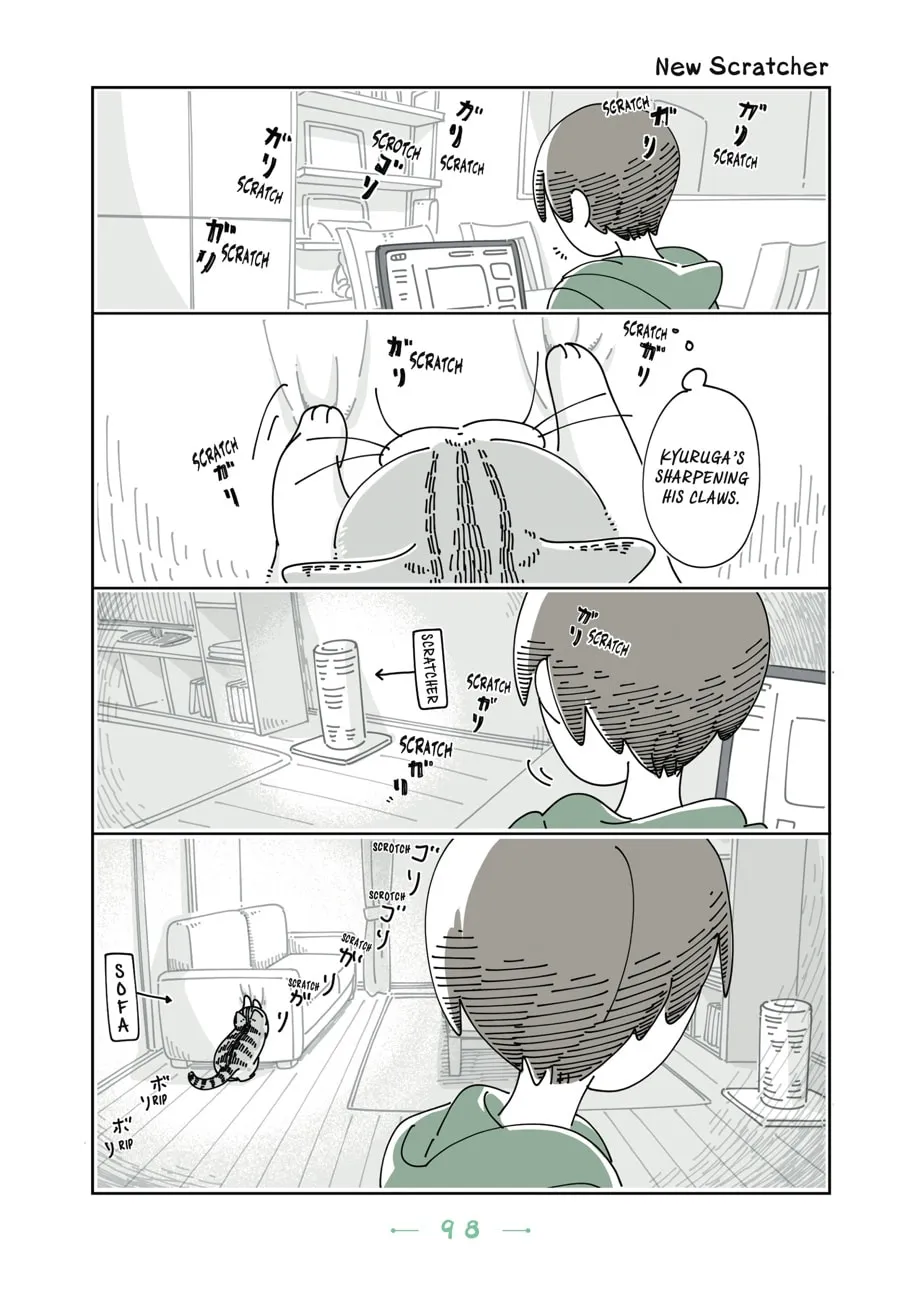 Nights With a Cat Chapter 18 page 1 - 